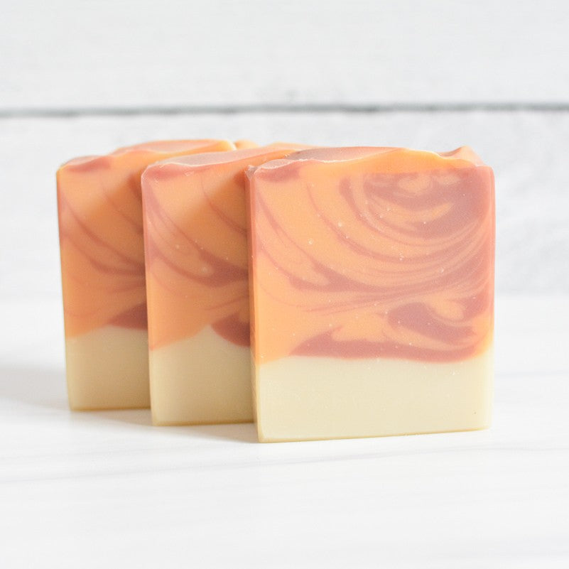 Orange Cranberry Spice Artisan Handmade Soap