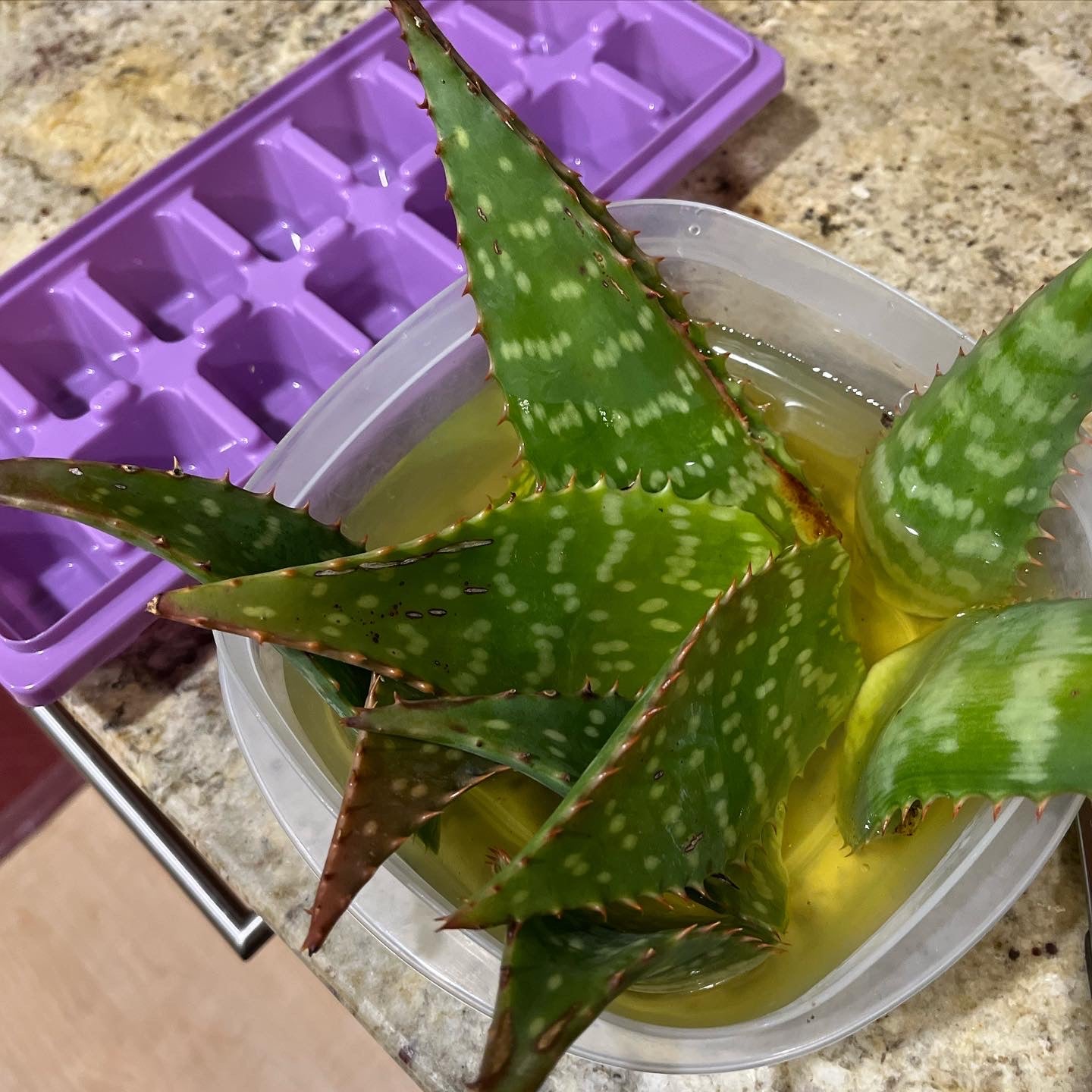 80% olive oil formula - Aloe & Clover Artisan Handmade Soap