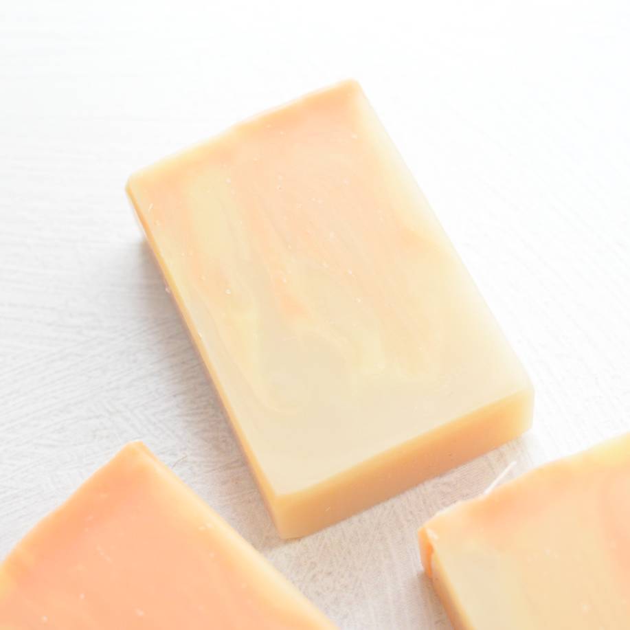 Collection Set of 10 Christmas & Fruity Favorites Artisan Handmade Soaps