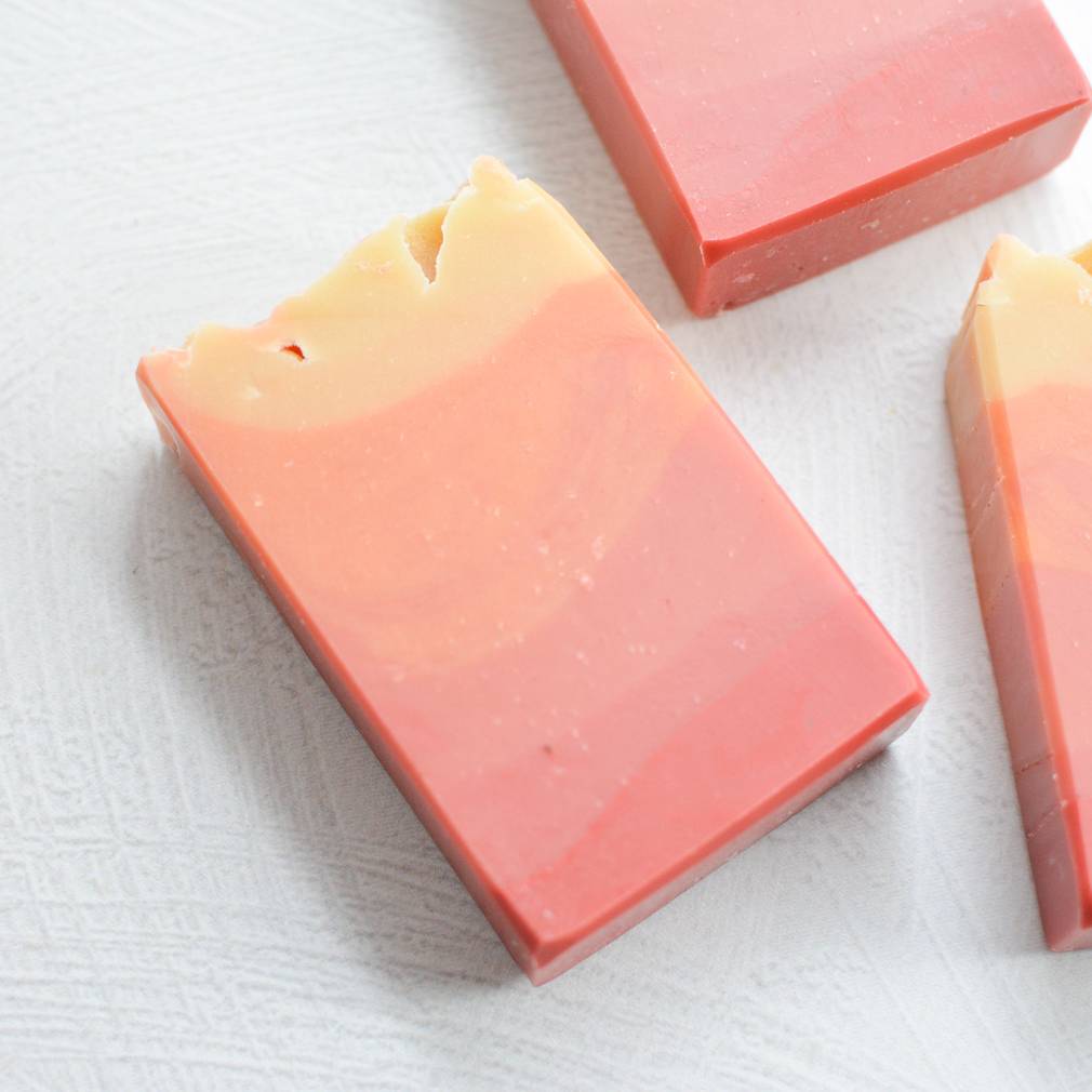 Collection Set of 10 Christmas & Fruity Favorites Artisan Handmade Soaps