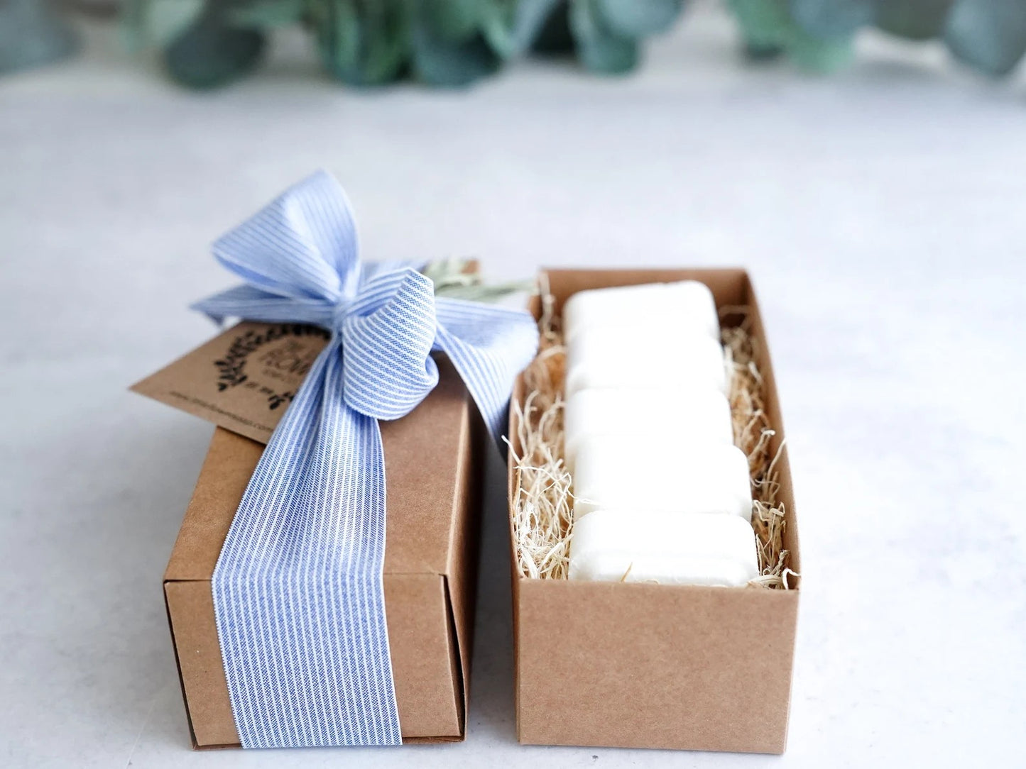 Menthol Shower Steamers Set of 5 Gift Set